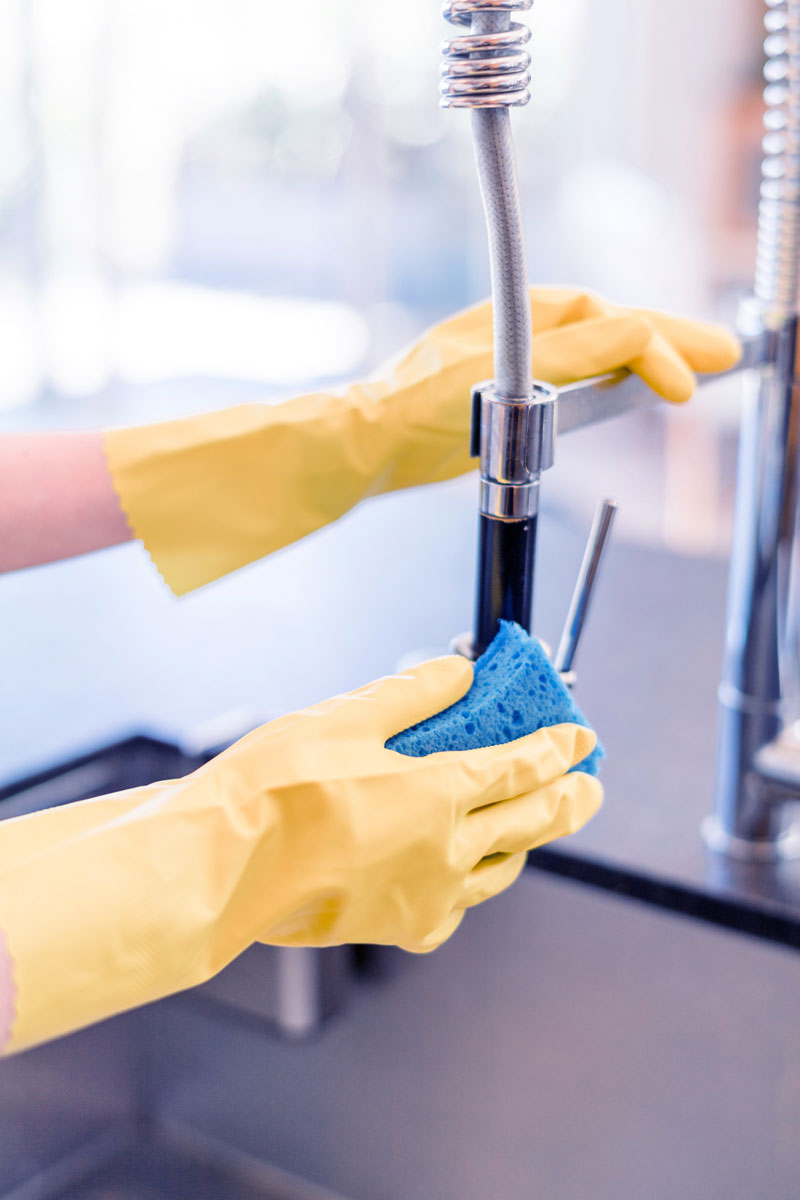 professional home cleaning services