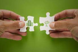 environmentally friendly companies