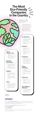 top eco friendly companies