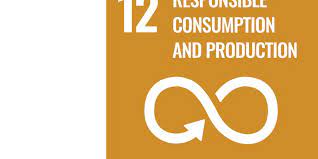 sdg 12