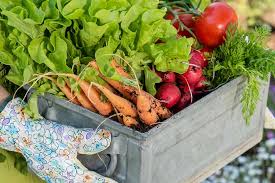 ways to be sustainable in everyday life