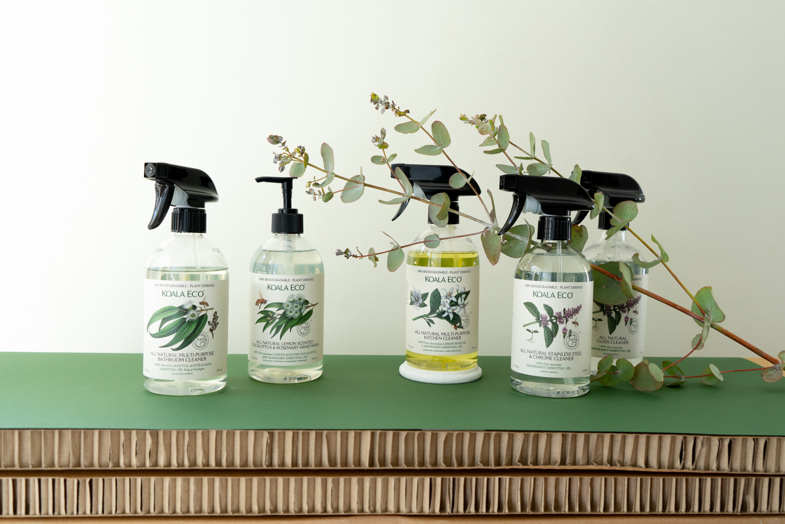 eco friendly cleaning products for business