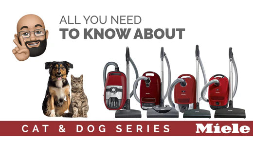 miele cx1 cat & dog