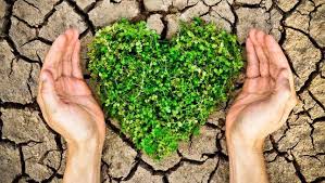 environmental
